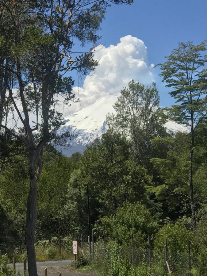 Molco Bosque Сasa de vacaciones